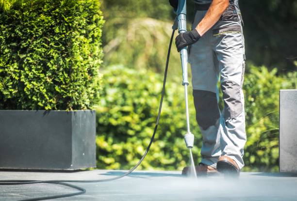 Best Solar Panel Cleaning  in Highlandville, MO