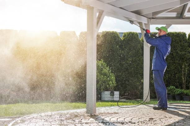 Best Dumpster Area Cleaning  in Highlandville, MO